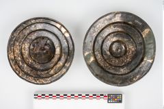 Foto von Bronzephalere (NHMW-PRAE-025563)